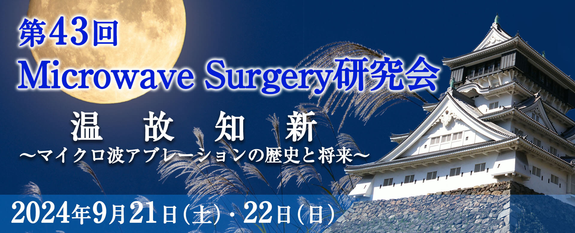 第43回Microwave Surgery研究会
