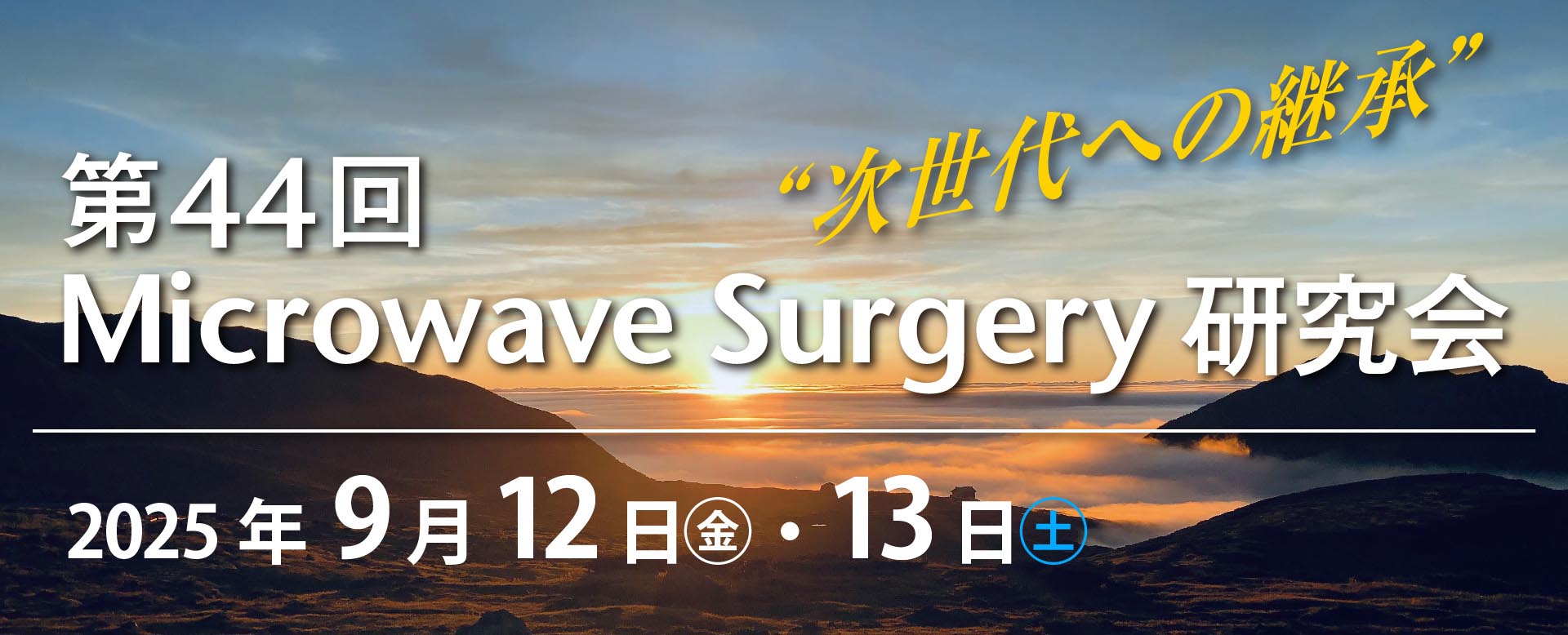 第44回Microwave Surgery研究会